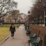 Vrouw wandelt in het park